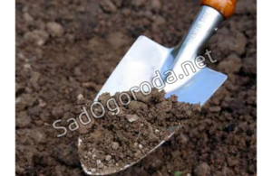 Плохая почва. Что делать чтобы почва не истощалась